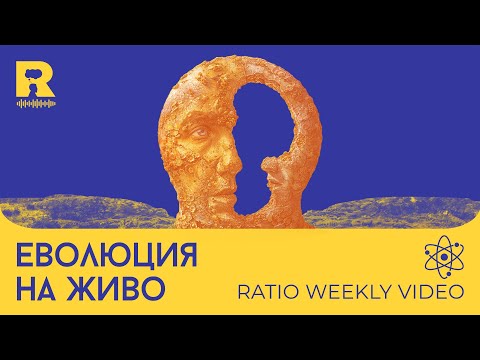 Видео: Еволюция на живо [Ratio Weekly с Никола Кереков]