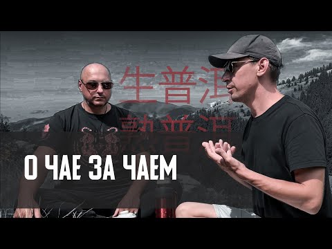 Видео: Все о настоящем Пуэре | Шу и Шен