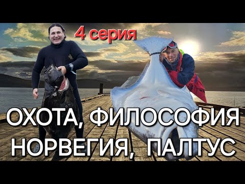 Видео: Охота, Философия, Норвегия, Палтус