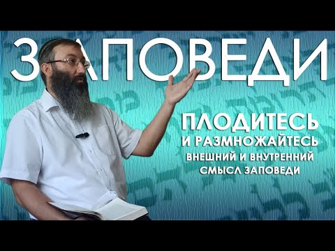 Видео: Заповедь "Плодитесь и размножайтесь"