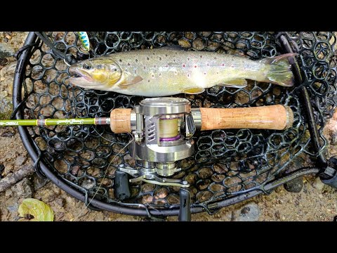 Видео: Ця котушка мене здивувала DK100V vs ФОРЕЛЬ!