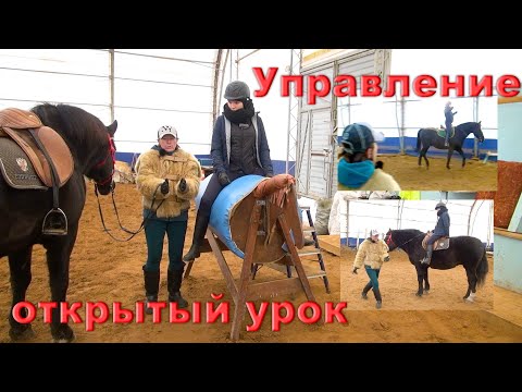 Видео: Управление лошадью. Проводимость и посадка всадника.