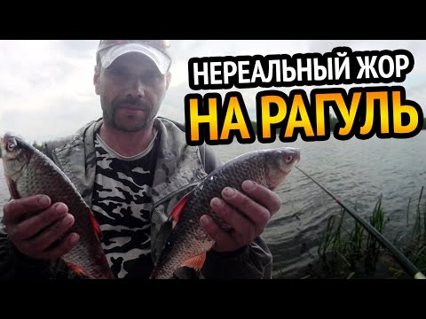 Видео: СУПЕР РЫБАЛКА В ПРОВОДКУ НА РАКУШКУ. Попали на нереальный жор.