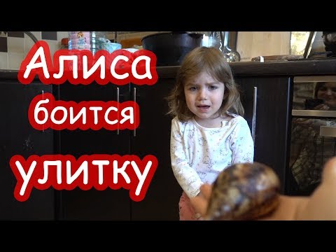 Видео: VLOG Поехали на день рождения Серёжи
