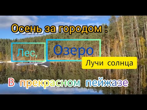 Видео: магия осеннего леса  и озера  --- солнце и природа вокруг# larisnikolag# 🍓🛤🍊🍊🍊🌴🌴🌴🌅🌅🌅😋😋😋