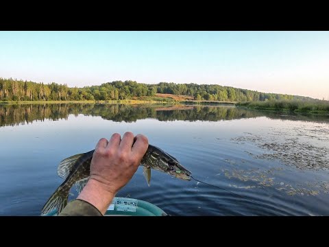 Видео: Рыба не клюёт, зато раки пошли... #399