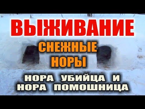 Видео: ДОМ ИЗ СНЕГА СНЕЖНАЯ ПЕЩЕРА СНЕЖНАЯ НОРА. УКРЫТИЕ ЗИМОЙ ИЗ СНЕГА Выживание зимой в лесу. Бушкрафт.