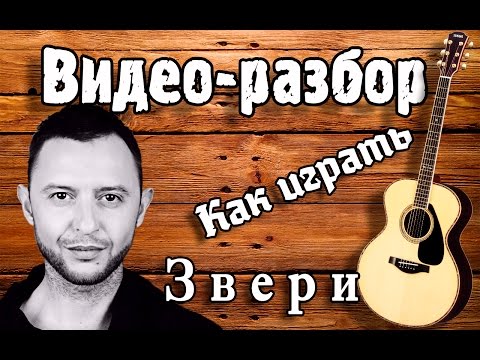 Видео: Как играть Звери - Я с тобой разбор, урок на гитаре. Звери Если ты скажешь да - видео разбор