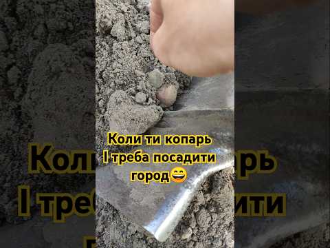 Видео: посадив картошку)) #deus #коп #монета