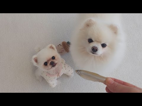 Видео: Руди и Понки богаты! Готовлю 200 закусок, потратив 10,000 вон