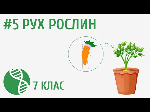 Видео: Покриви, опора й рух рослин #5