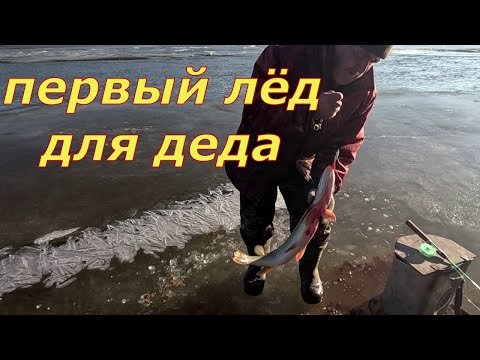 Видео: Первый лёд 2025-26. На рыбалку с Дедом.