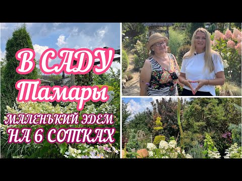 Видео: ПРОГУЛКА ПО САДУ 🪴 МАЛЕНЬКИЙ ЭДЕМ ТАМАРЫ НА 6 СОТКАХ