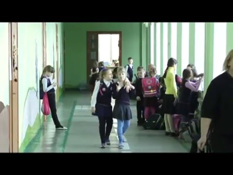 Видео: Многие ли школы Барнаула могут похвастаться так называемой доступной средой?