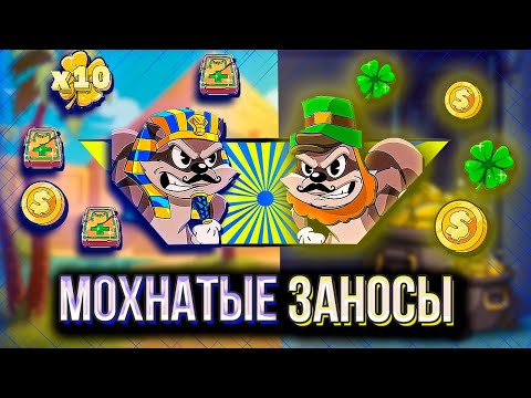 Видео: ЛЮТЫЙ ЗАМЕС ЕНОТОВ, И ЛЮТЫЕ ЗАНОСЫ ОТ ОДНОГО ИЗ НИХ !!! #бонусбай #заносынедели