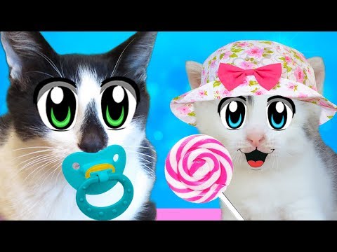 Видео: МАЛЕНЬКИЙ КОТ МАЛЫШ И КОШКА МУРКА! НОВОГОДНЯЯ ИСТОРИЯ АНУКА ДАВАЙКА! Как рос Малыш?