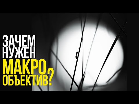 Видео: Как снимать макро и портрет? | Один объектив | Canon RF 85mm F2 Macro IS STM