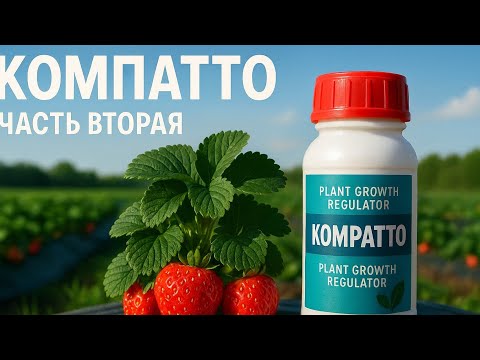 Видео:  ,,Компатто,,