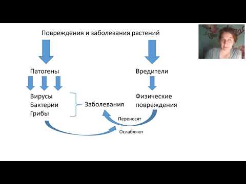 Видео: Биологические методы защиты растений