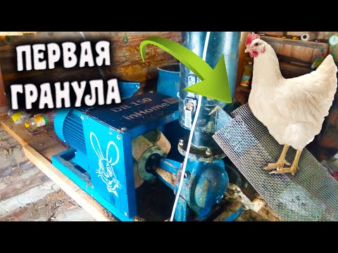 Видео: Первая Гранула для кур НЕСУШЕК + КОНКУРС