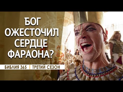 Видео: #62 Бог ожесточил сердце фараона? - Алексей Осокин - Библия 365 (3 сезон)