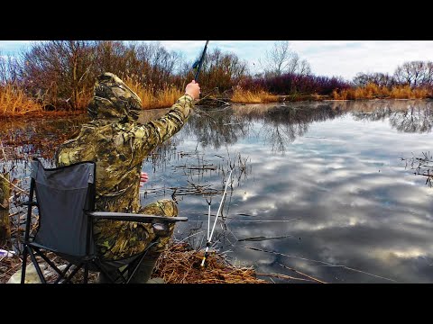 Видео: ЛОВЛЯ КАРАСЯ ВЕСНОЙ в ДЕРЕВНЕ!РЫБАЛКА В АПРЕЛЕ 2024