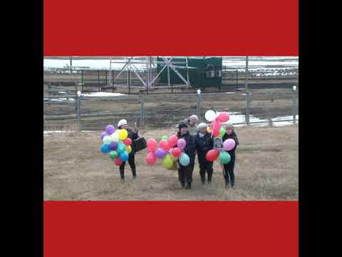 Видео: Алгыс түмсүү 2016 сыллааҕы кнсиэрэ