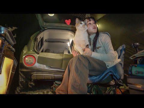 Видео: поход с «Карангом», который вернулся через две недели / кошки-мама и дочка 💛Ой, как мило😍