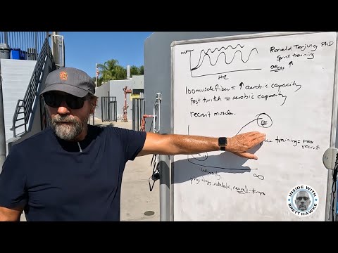 Видео: Аргументы против аэробной базы с Дэйвом Сало