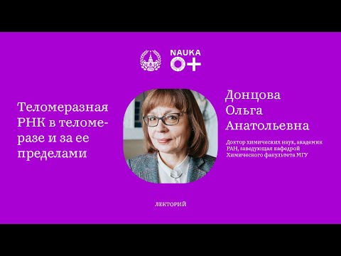 Видео: Лекция "Теломеразная РНК в теломеразе и за ее пределами" Ольги Донцовой