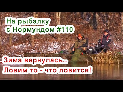 Видео: Ловим то - что ловится.. / На рыбалку с Нормундом #110