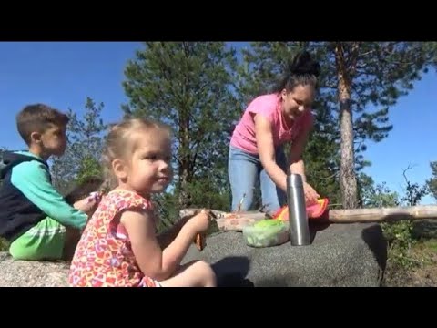 Видео: Муж Выгнал/ Живу В Лесу с Четырьмя Детьми/ Смотреть до Конца /