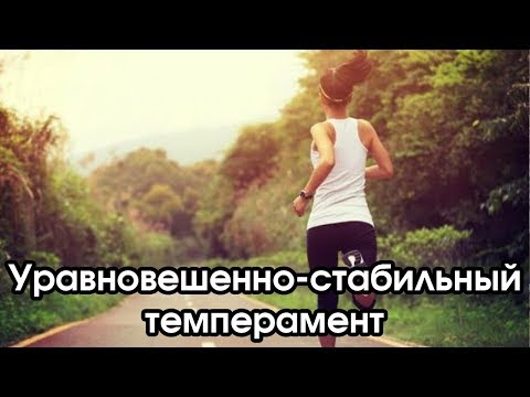 Видео: Соционика: уравновешенно-стабильный темперамент