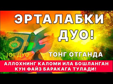 Видео: Эрталабки дуо! Ризқни кенг килиб муаммолар ечилсин Ин Ша Аллох тингланг || дуолар