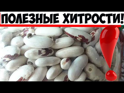 Видео: Фасоль храню в обычном бумажном ящике, просто положив в него... Ни один жучок не заведется!