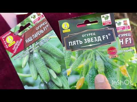 Видео: Қияр егу. Қияр түрлері.Аурулар мен зиянкестер. #қияр #баубақша #бақша #құнарсызжер