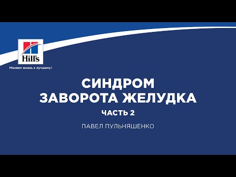 Видео: Вебинар на тему: "Синдром заворота желудка.” Часть 2. Лектор - Павел Пульняшенко.