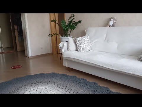 Видео: В КРАСНОЯРСКЕ ЖАРА! Я - ЦВЕТОВОД. ЧТО КУПИЛА