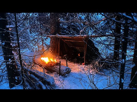 Видео: Одиночная ночевка с собакой, без палатки, в снежном лесу,  бушкрафт / Overnight in the forest