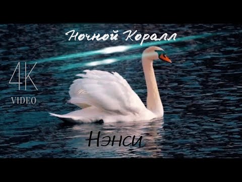 Видео: NENSI - Ночной Коралл ( V ) Нэнси 2022 г. 4K