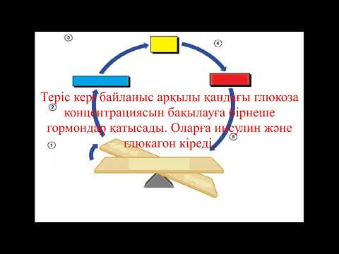 Видео: 11 класс.Биология. Биологияны басқару жүйесі