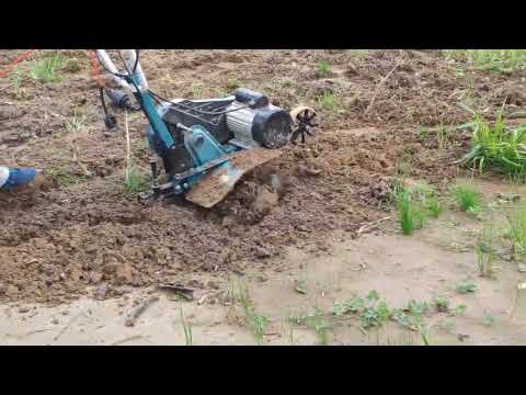 Видео: Обзор электрического культиватора Hyundai t 2000e