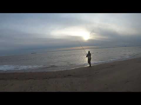 Видео: Ловля трески на побережье Холдернесса — рыбалка с пляжа — ноябрь — 2024 г.