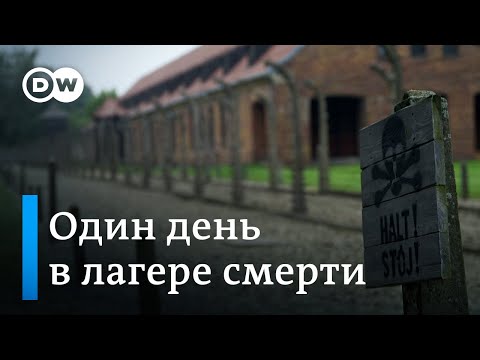 Видео: Один день в Освенциме: что говорит немецкая молодежь после посещения лагеря смерти