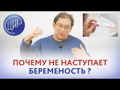 Видео: Беременность после ЭКО. Почему не наступает беременность после ЭКО. Гузов И.И.