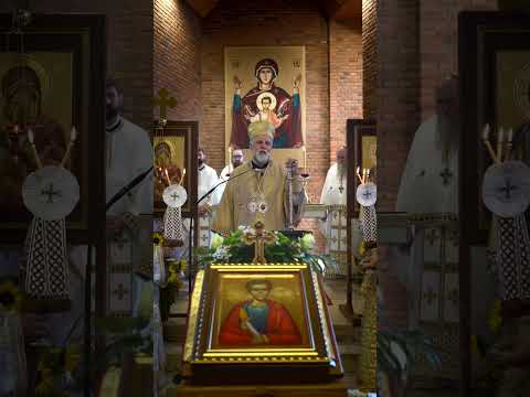 Видео: Беседа Митрополита Григорија у Албштату 26. октобра 2025.