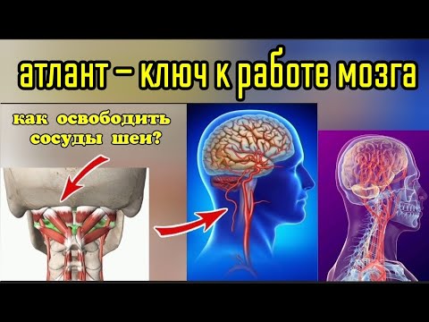 Видео: Атлантозатылочный сустав: 3 уязвимых места. Упражнения для шеи и мозга