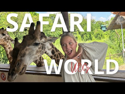 Видео: VLOG| САФАРИ ПАРК БАНГКОК |ЛЕВ ПРОШЕЛ В САНТИМЕТРАХ ОТ МЕНЯ |ШОК ОТ УВИДЕННОГО ЖИРАФЫ КРОКОДИЛЫ ТИГР