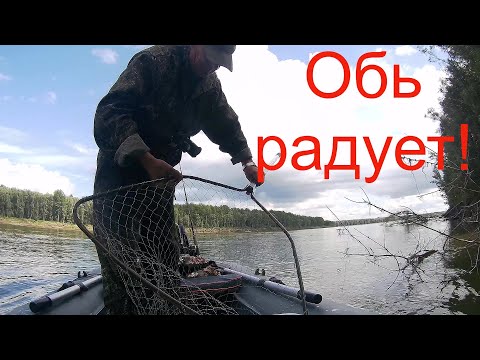 Видео: И снова Обь порадовала! Очередная рыбалка на реке.