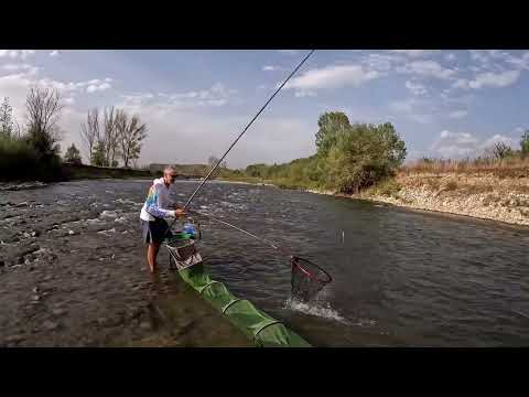 Видео: Риболов в бързей с директен телескоп  на река Струма